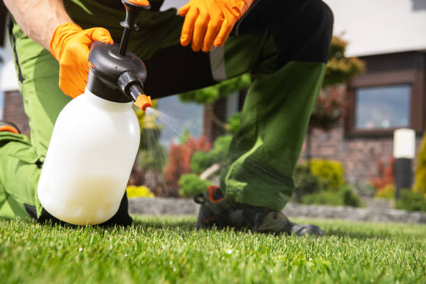 Trusted Cameron, MO Pest Control Experts