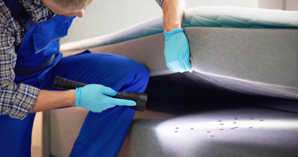 Best Best Pest Control Companies  in Cameron, MO