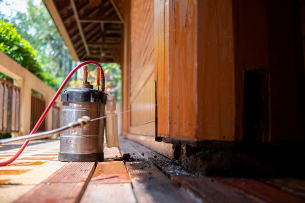 Best Mosquito Control Services  in Cameron, MO