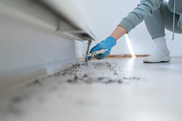 Pest Control Cost in Cameron, MO