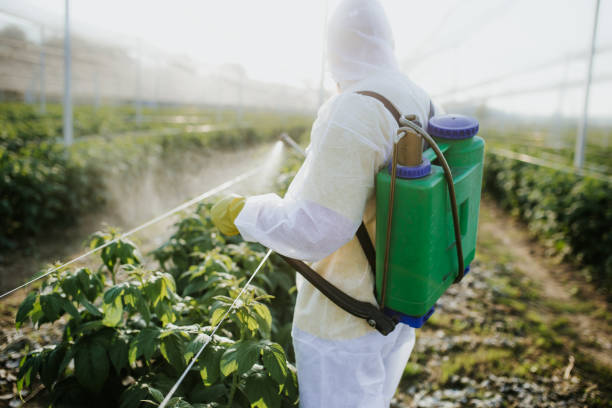 Best Exterminator Services  in Cameron, MO